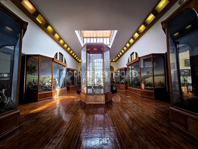Agricultural Museum Exhibition Hall, Dokki Giza