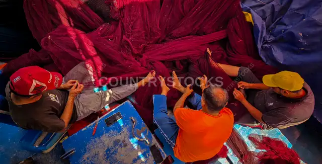 Fishermen Repairing Fishing Nets, Rashid Fish Market