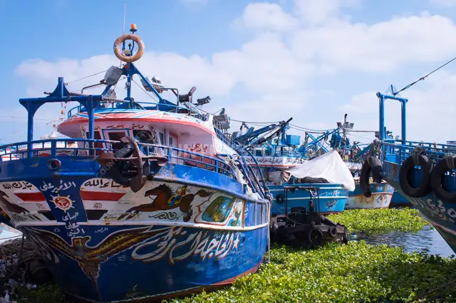 Fishing Boats Docked at Rashid Boat Harbor