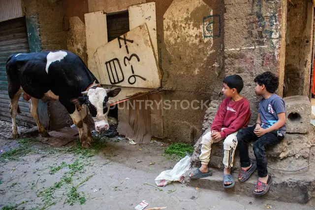 A Glimpse of Innocence and Compassion: Two Children Appeal for a Living Eid Sacrifii