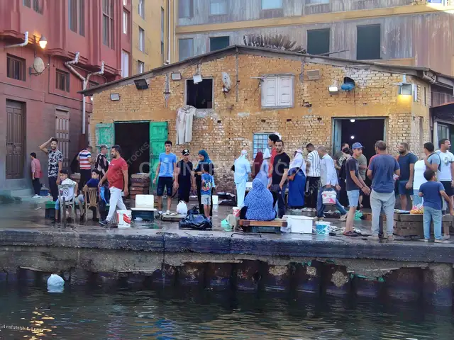 Fish Market Quay Vendors, Ezbet El-Borg Damietta