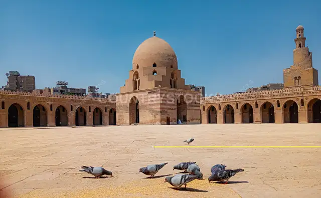 Ibn Tulun Mosque Courtyard with Pigeons, Cairo