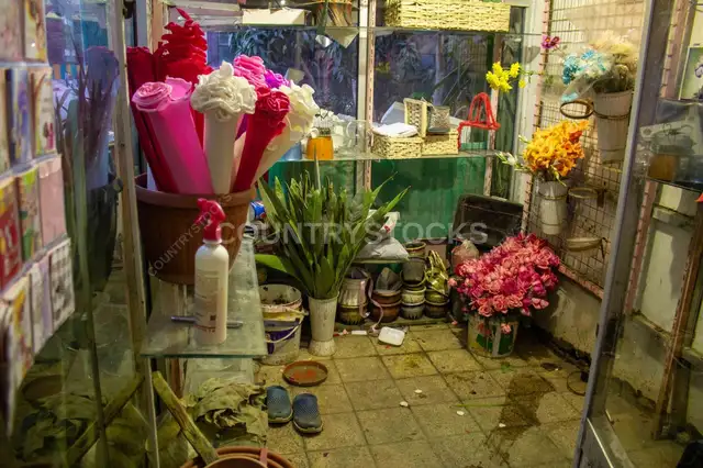 Local Flower Shop Interior, Cairo