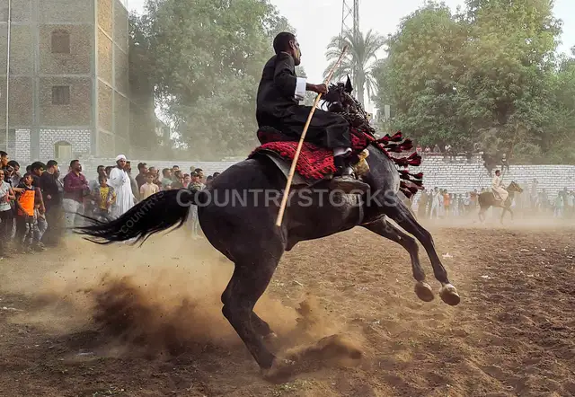 El Mirmah Traditional Horsemanship Display, Qena Upper Egypt
