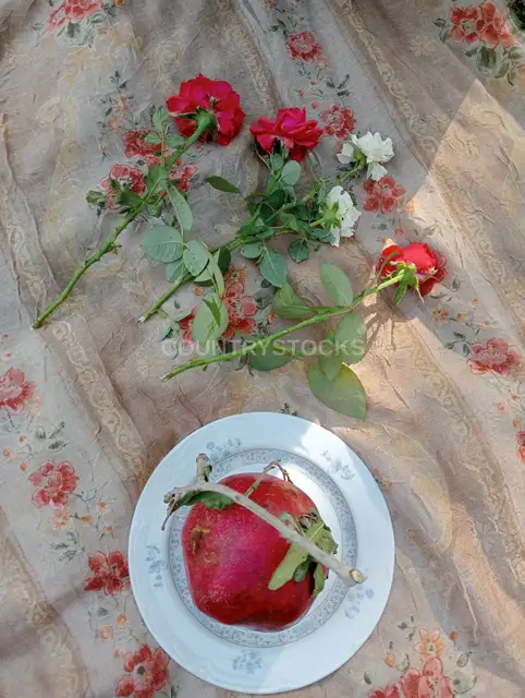 Fresh Pomegranate on Plate with Roses, Al-Orman Garden