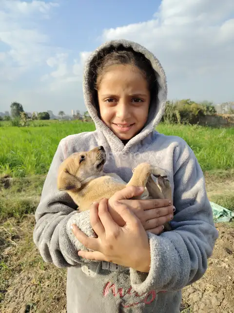 Girl Holding Puppy, Dahab Island Giza