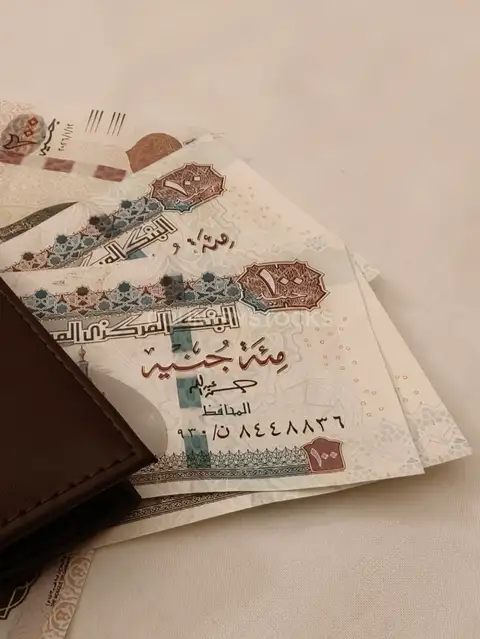 Egyptian 100 Pound Banknotes in Brown Leather Wallet