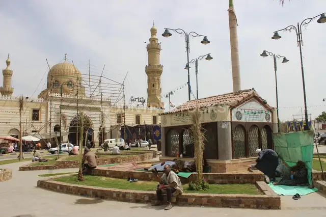 Scene from el Sayyeda Nafisa Mawlid – Traditional Celebration in Cairo, Egypt 5