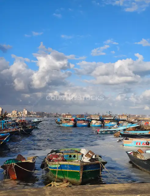 El-Max Fishing Harbor, Alexandria Egypt