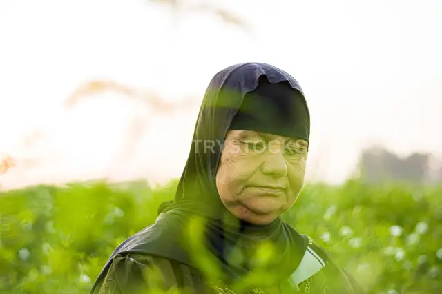 Egyptian Woman in Jasmine Field, Kafr Saadoun Gharbia