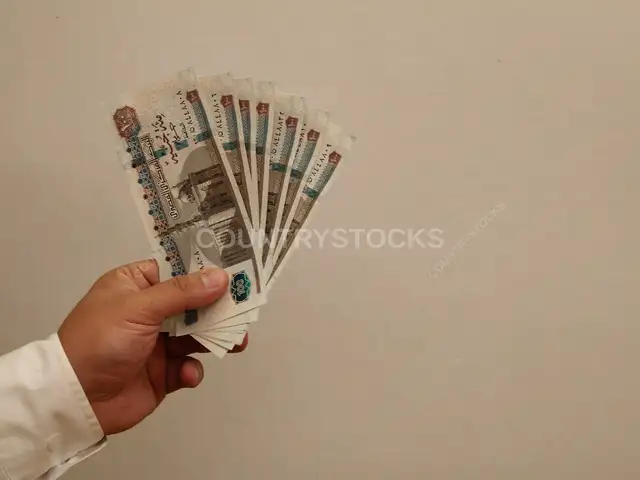Hand Holding Egyptian 100 Pound Banknotes