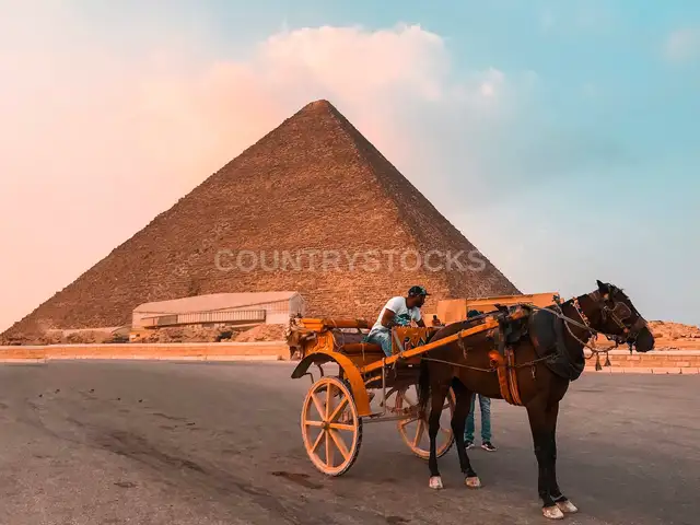 Horse Carriage at Great Pyramid of Giza, Egypt