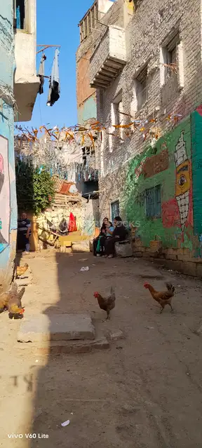 زقاق بالجداريات والدجاج، الدرب الأحمر القاهرة