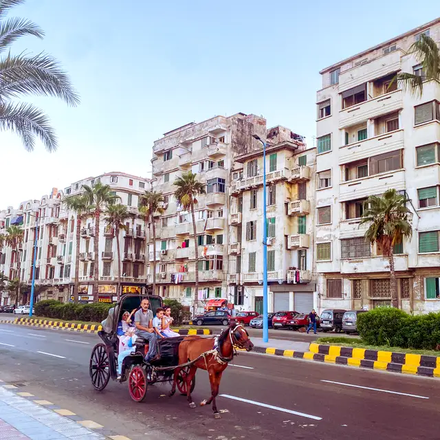 حنطور على كورنيش الإسكندرية