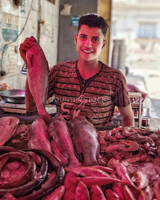 بائع سمك شاب في سوق السيدة زينب بالقاهرة