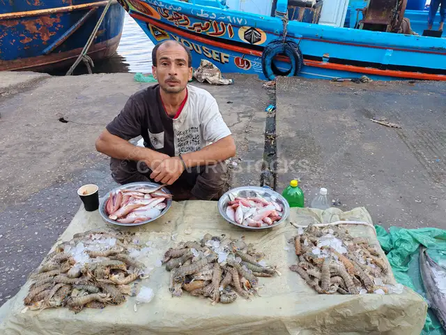 بائع سمك مصري بيعرض صيد النهارده الطازج في ميناء دمياط