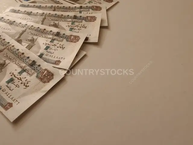أوراق نقدية من الجنيه المصري على خلفية بيضاء