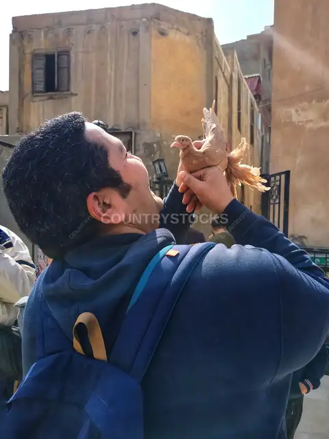شاب يمسك حمامة زاجلة في زقاق بالقاهرة القديمة