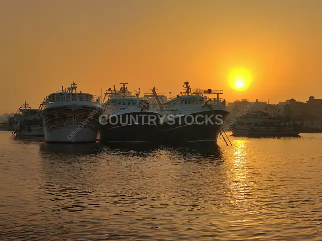 سفن صيد راسية عند الغروب في عزبة البرج دمياط