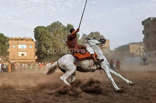 El Mermah Traditional Horseman Performance, Qena Upper Egypt