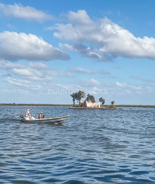 قارب صيد بالقرب من جزيرة الشخلوبة، كفر الشيخ