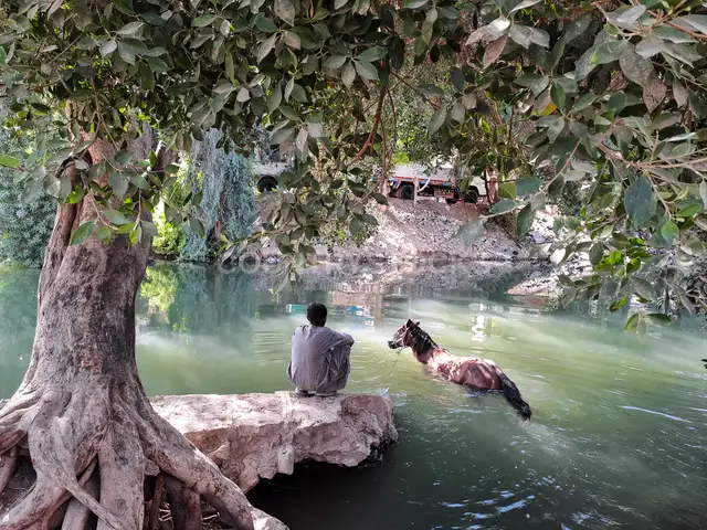 صعيد مصر