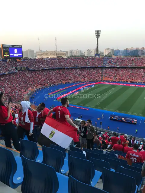 Egyptian Fans Waving Flag at Packed Cairo Stadium