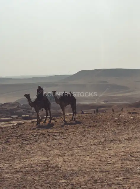 Camel Riders on Giza Plateau Desert, Egypt