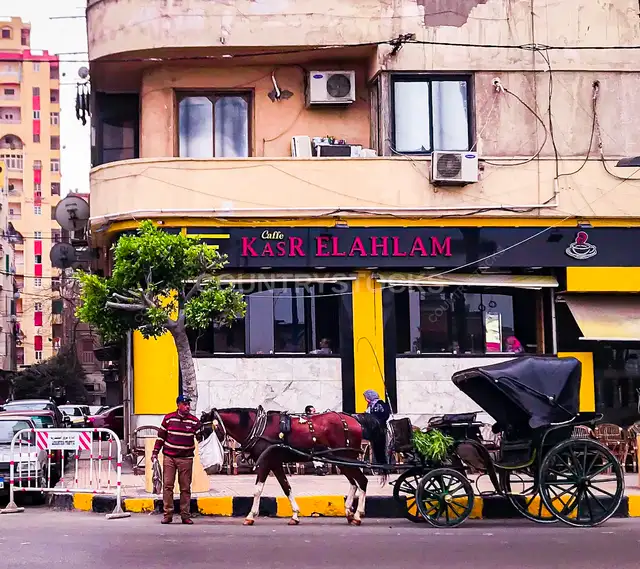 حنطور أمام كافيه قصر الأحلام، محطة الرمل الإسكندرية