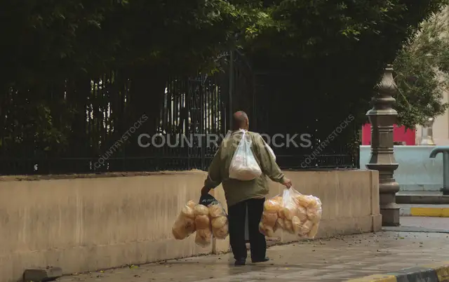 Man Carrying Bread Bags on Alexandria Street