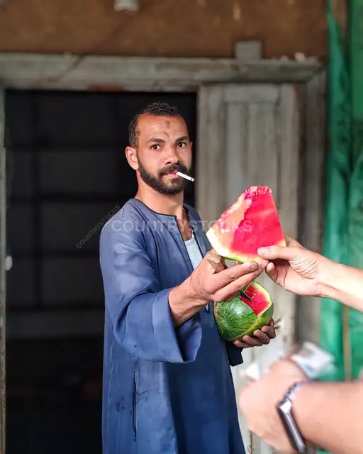بياع بطيخ يعرض البطيخ الأحمر في المنوفية