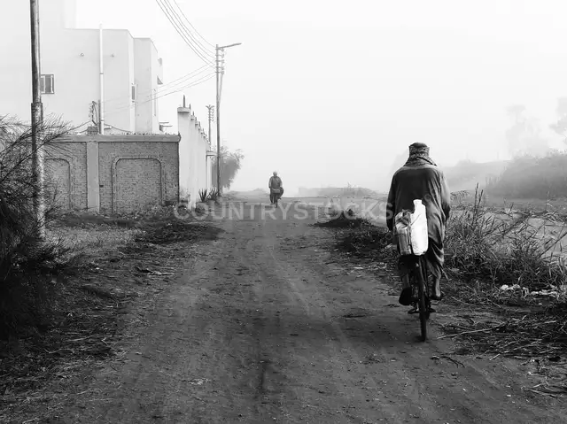 Men Cycling Foggy Rural Road, Egyptian Countryside Winter