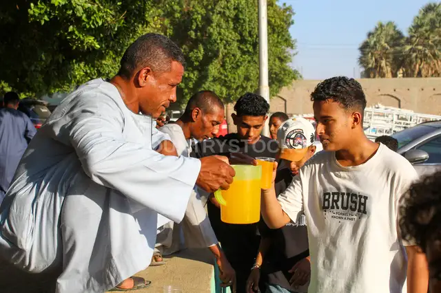 توزيع المشروبات في احتفالات المولد النبوي الشريف، الأقصر