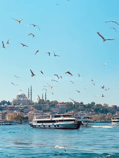 Turyol Ferry on Bosphorus with Seagulls, Istanbul