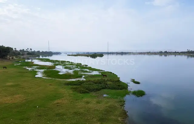 سكون الضفاف – ضفاف نهر النيل الخضراء في قنا