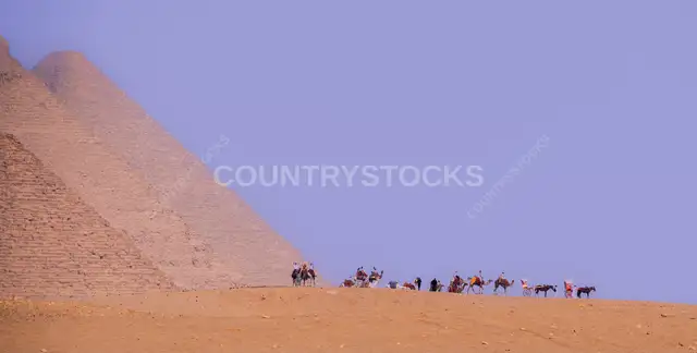 قافلة جمال عند أهرامات الجيزة، مصر