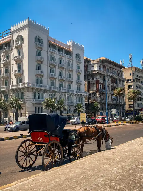 حنطور سكندري في شوارع الإسكندرية
