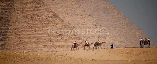 راكبو الجمال عند أهرامات الجيزة، مصر