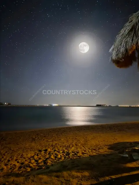 ضوء القمر الهادئ فوق البحر