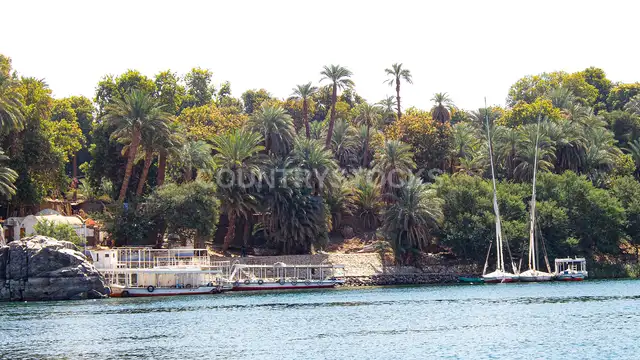 ساحل النيل المليان نخيل في أسوان