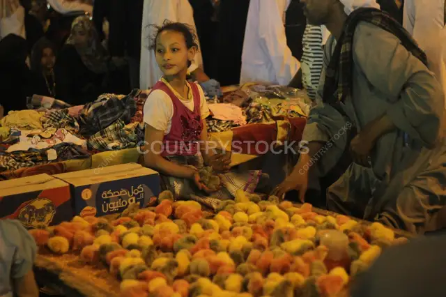 Street Vendors Selling Toy Chicks at a Traditional Mawlid – Cairo, Egypt
