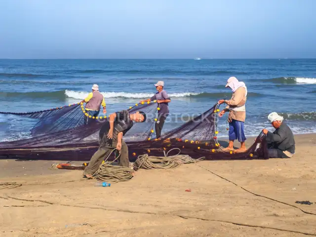 صيادون يسحبون شباك الصيد على شاطئ البرلس، كفر الشيخ