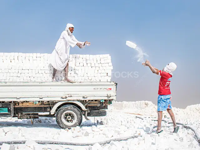 عمال المحاجر يحملون الطوب الجيري الأبيض، المنيا
