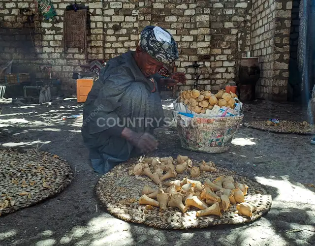 تفقد الجلاب بعد تصنيعه