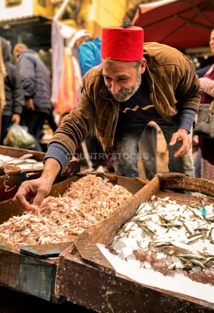 بائع سمك بالطربوش الأحمر، سوق بحري الإسكندرية