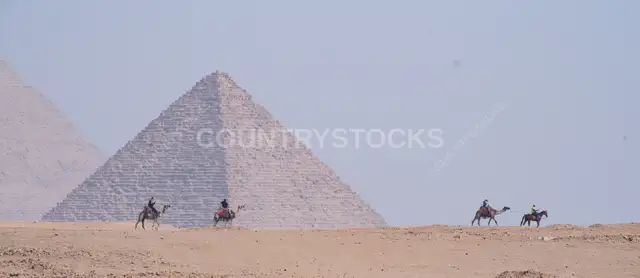 جمال وركاب أمام أهرامات الجيزة، مصر
