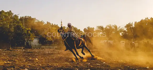 فارس يركض بحصانه بسرعة قصوى في قنا
