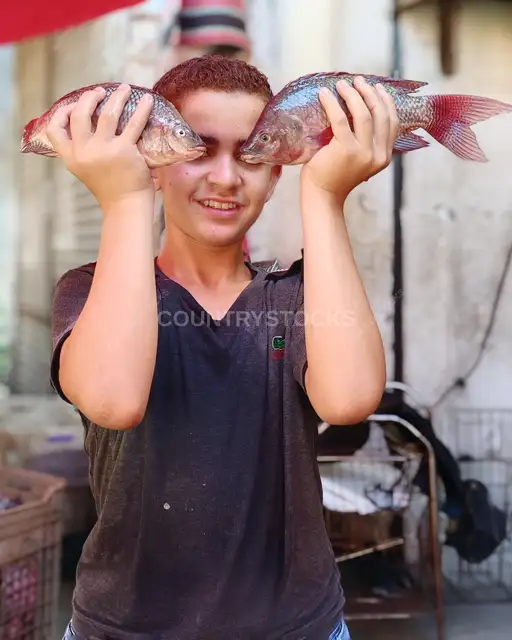 صبي مصري يحمل سمكتي بلطي في سوق السمك بالسيدة زينب