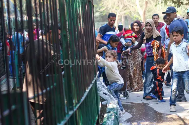 A Scene from Giza Zoo (Genenit el Hayawanat) During Eid el Fitr 2017 3