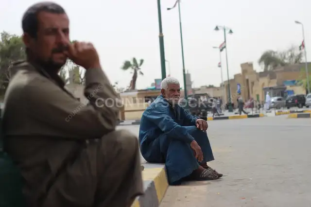 Scene from el Sayyeda Nafisa Mawlid – Traditional Celebration in Cairo, Egypt 8